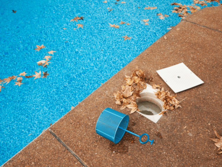 swimming pool cleaning service